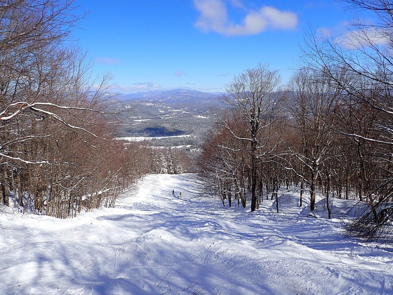 高山滑雪入门:从零开始的正确姿势(商业市场视角)